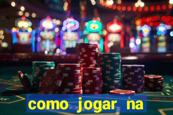 como jogar na lotinha do jogo do bicho